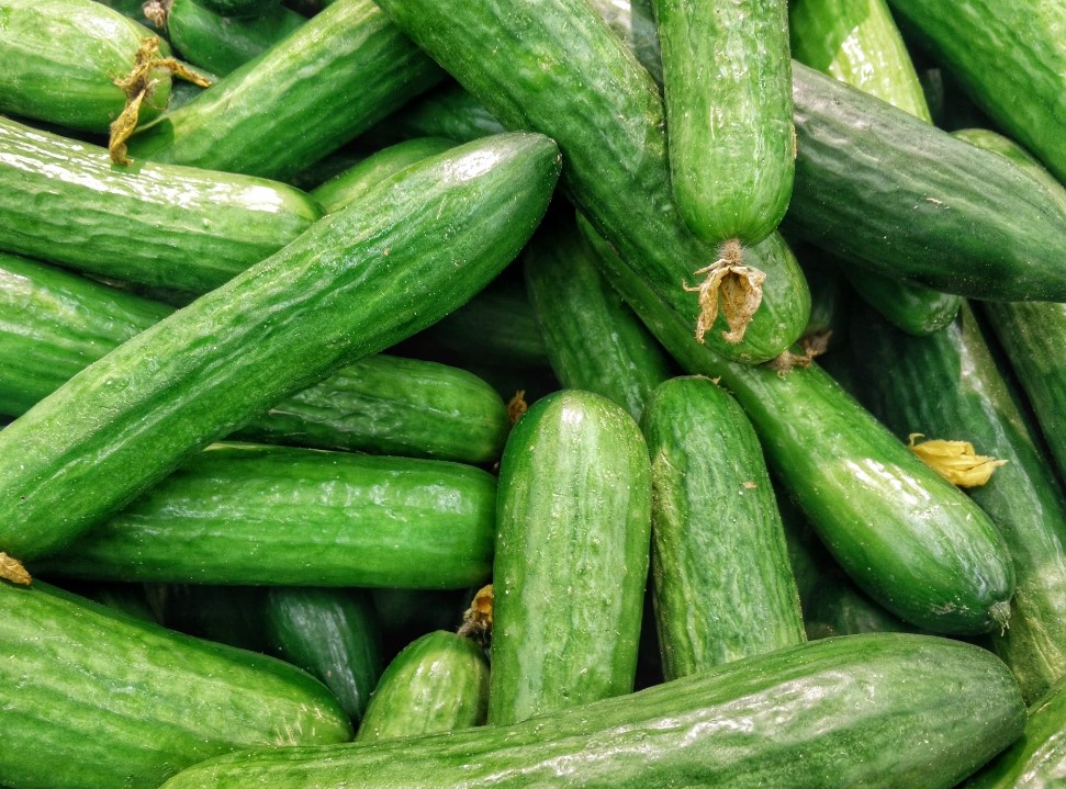 Brzo rješenje za gorki krastavac