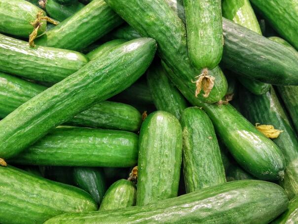 Brzo rješenje za gorki krastavac