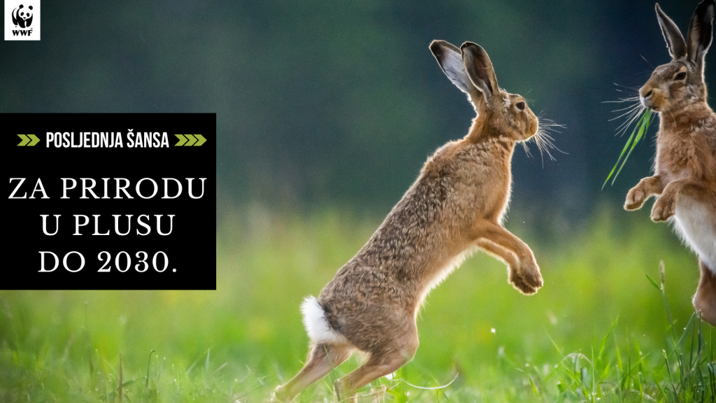 Budućnost prirode pod ozbiljnim je upitnikom, ali prilika još uvijek postoji