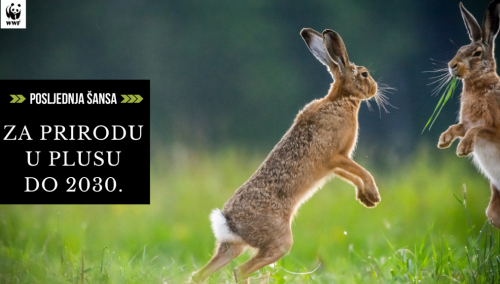 Budućnost prirode pod ozbiljnim je upitnikom, ali prilika još uvijek postoji