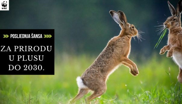 Budućnost prirode pod ozbiljnim je upitnikom, ali prilika još uvijek postoji