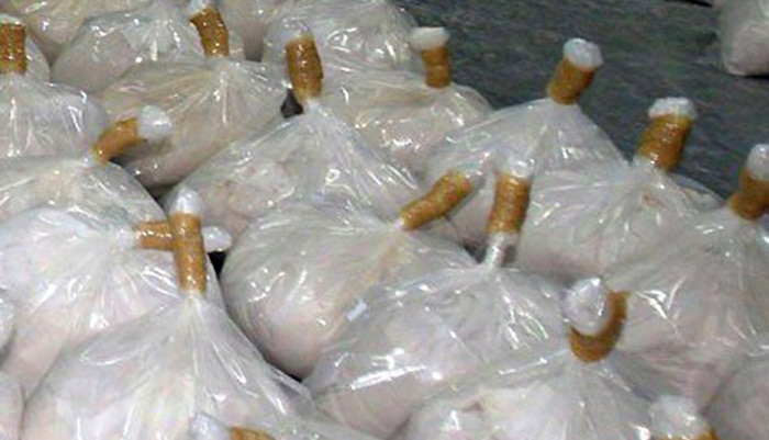 Bugarska: Zaplijenjen kokain vrijedan više od 43 miliona eura