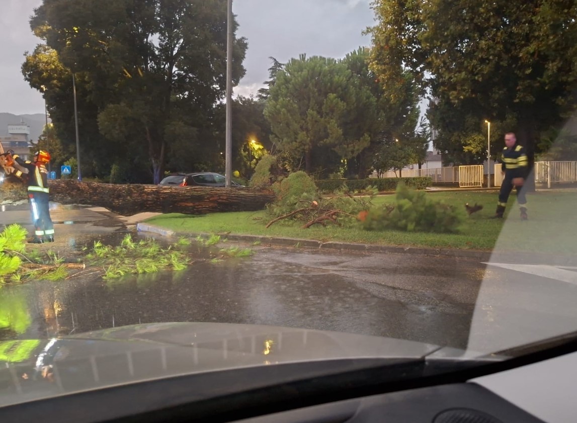 Olujni jugo rušio stabla u Dalmaciji, ogromne bujice