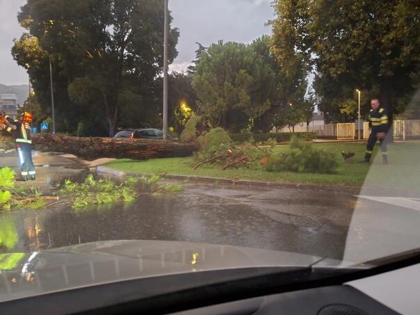 Olujni jugo rušio stabla u Dalmaciji, ogromne bujice