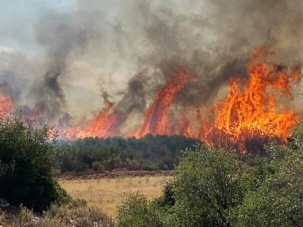 Buknuo još jedan požar u Grčkoj, ljudima rečeno da bježe