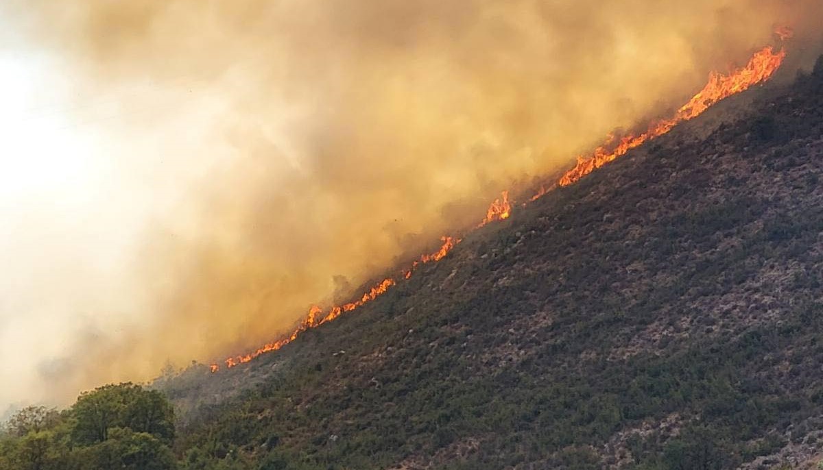 Buknuo požar kod Dubrovnika, gase ga četiri kanadera