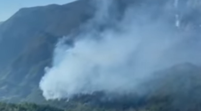 Bukti požar kod Trebinja, stižu helikopteri iz Srbije