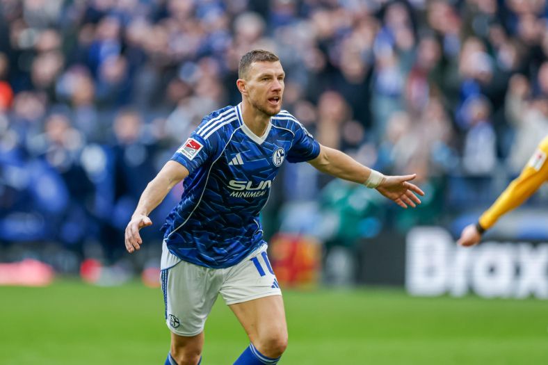 Bundesliga odala počast Edinu Džeki kao malo kome