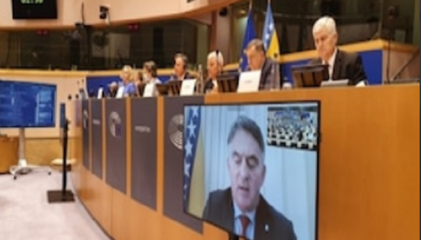 Burno u EU parlamentu: Žestoke kritike Dodiku