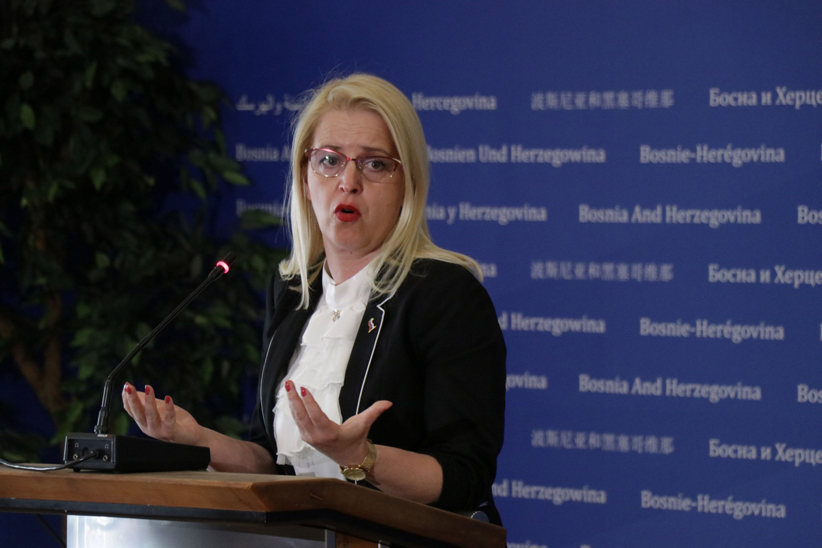 Bursać: Na dnevnom redu hitne sjednice nisu bile tačke koje ispunjavaju uvjet hitnosti