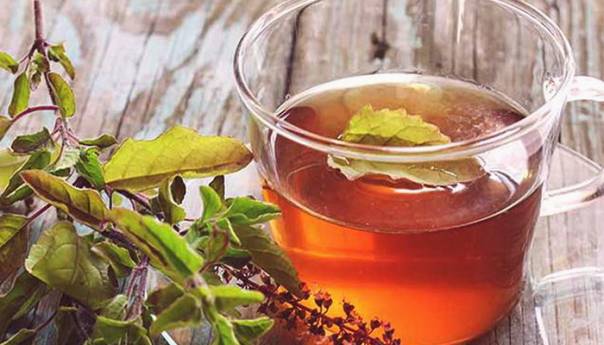 Čaj od bosiljka je čisto zlato za zdravlje