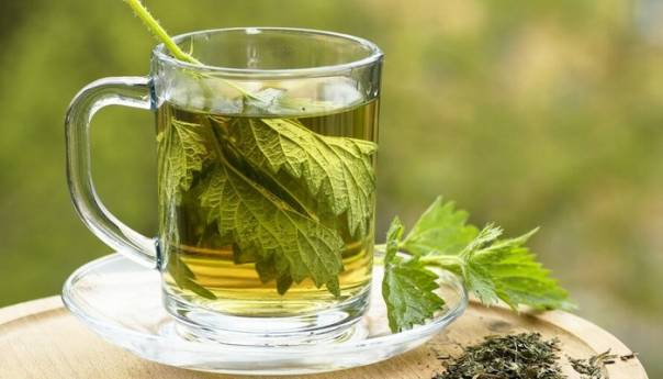 Čaj od koprive dragocjen za zdravlje