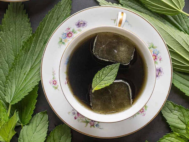 Čaj od koprive je moćan afrodizijak: Evo šta radi sa testosteronom