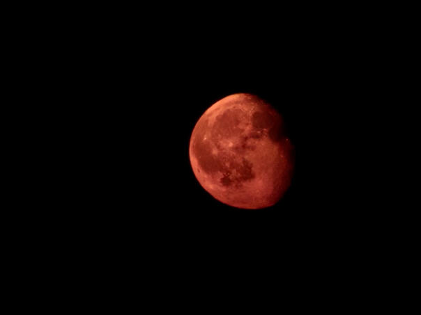 Čak sedam milijardi ljudi će vidjeti "krvavi mjesec" ove godine