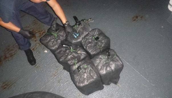 Carinici pronašli 635 kilograma kokaina među bananama