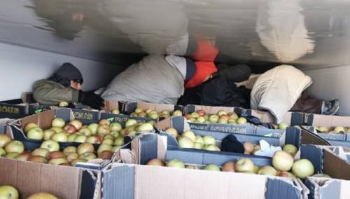 Carinici Srbije otkrili migrante među jabukama