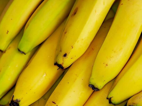 Carinici u bananama pronašli 334 kilograma kokaina