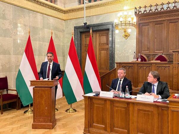 Čavara: Za BiH nema pozitivnijeg puta do puta u punopravno članstvo u EU