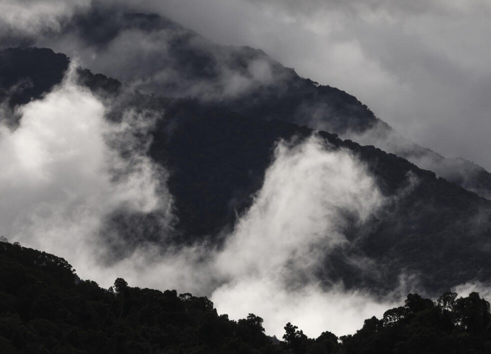 CBAM: Vlade Zapadnog Balkana moraju djelovati odmah kako bi izbjegle "savršenu oluju"
