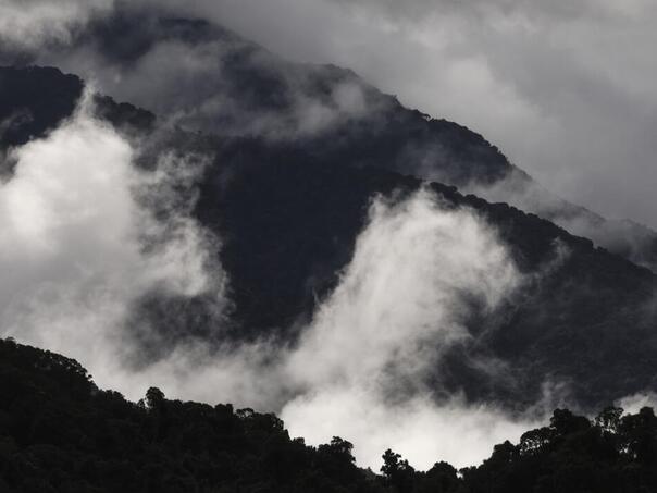 CBAM: Vlade Zapadnog Balkana moraju djelovati odmah kako bi izbjegle "savršenu oluju"