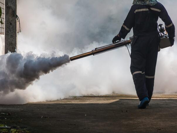 Četiri općine u BiH zajednički će suzbijati komarce