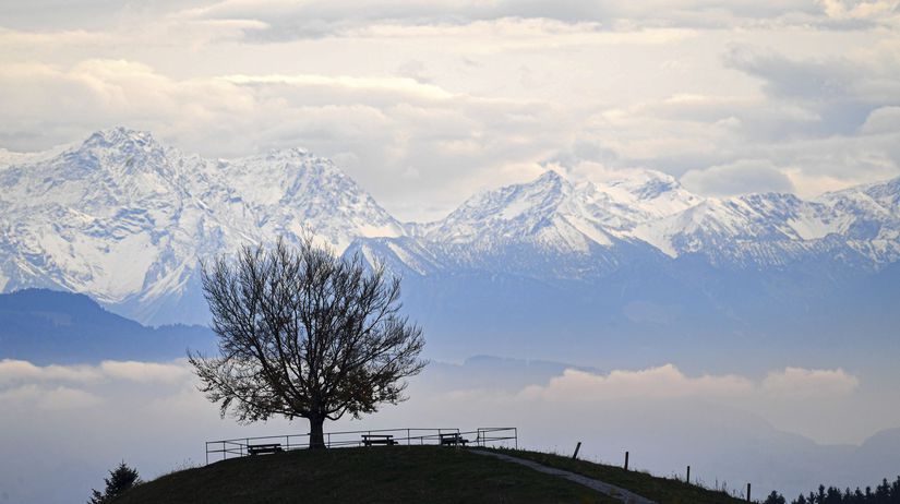 Četvoro mrtvih u padu malog aviona