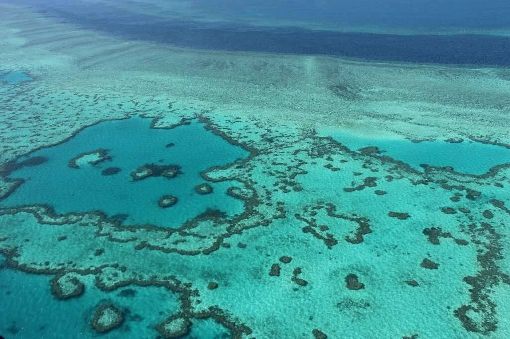 Četvrto masovno izbjeljivanje koralja zbog rekordno visokih temperatura