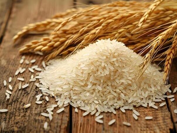 Cijena riže skočila za 101,7 posto u Japanu