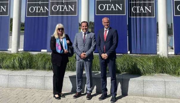 Cikotić i Colomina o jačanju saradnje Bosne i Hercegovine i NATO-a