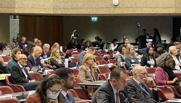 Cikotić na UNHCR-ovoj konferenciji o zaštiti izbjeglica