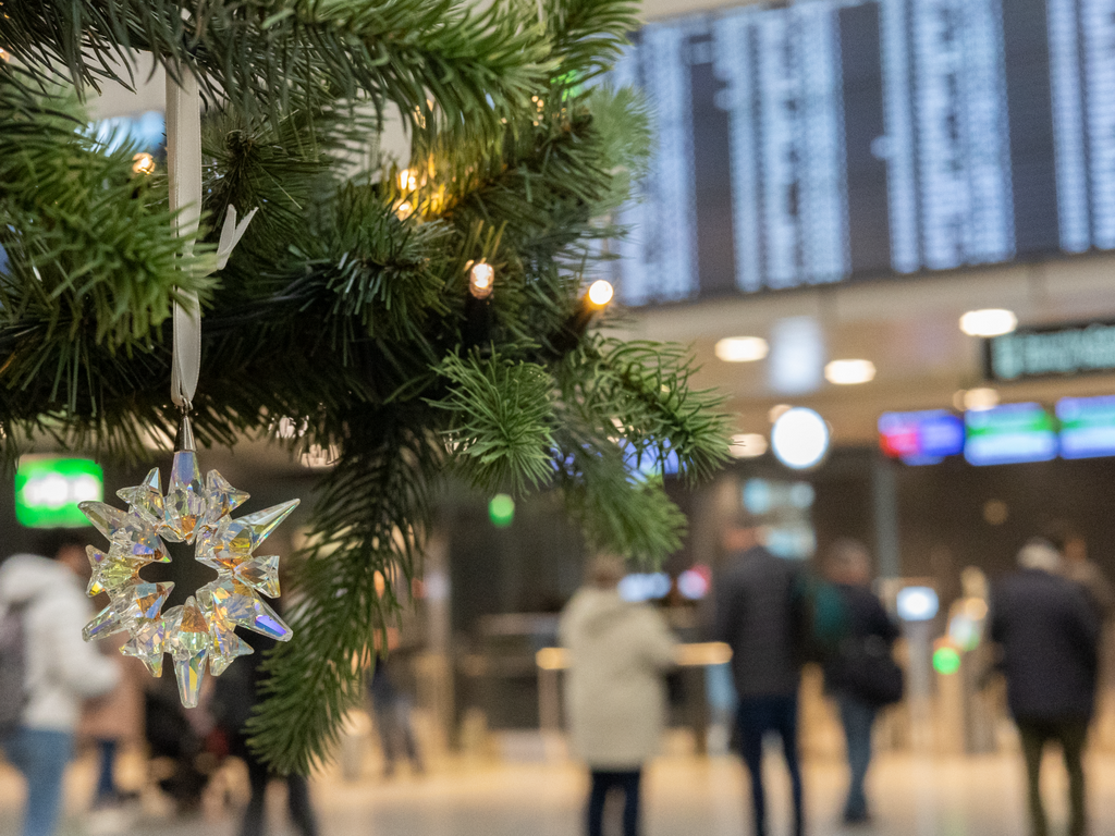 Članice EU moraju spriječiti višesatna čekanja na granicama tokom božićnih praznika