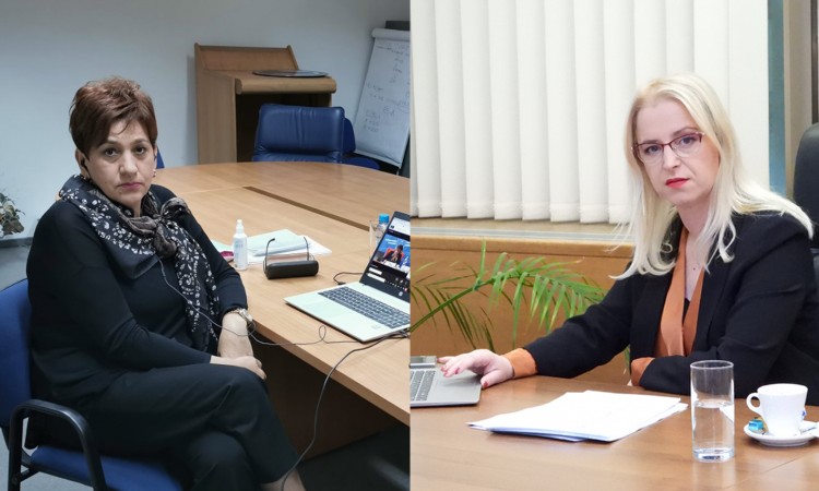 Čolo i Novaković učestvovale na video - sastanku stalnog komiteta PSVE