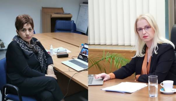 Čolo i Novaković učestvovale na video - sastanku stalnog komiteta PSVE