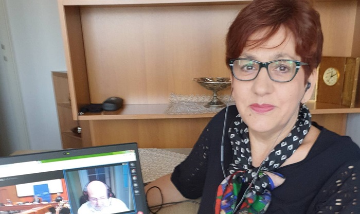 Čolo na video-sjednici Komiteta PSVE za pravne poslove i ljudska prava 