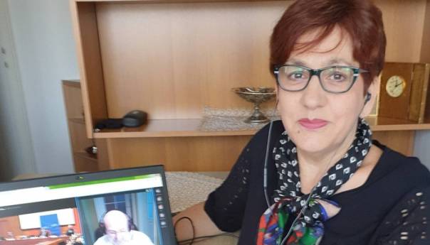 Čolo na video-sjednici Komiteta PSVE za pravne poslove i ljudska prava