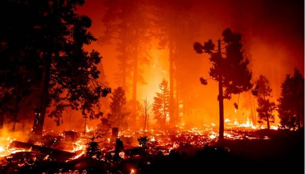 Colorado na udaru požara dosad nezabilježenih razmjera