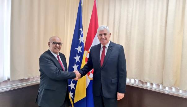 Čović i Sejdić razgovarali o izmjenama Izbornog zakona