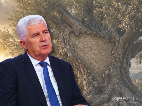 Čović poredio BiH sa maslinom: Visoki predstavnici ne znaju održavati tu kulturu