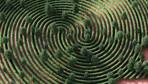 Covid park: Šetalište inspirisano novim virusom korona