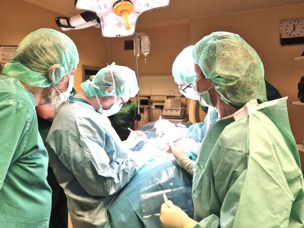 Čovjek živio gotovo pola godine sa transplantiranom svinjskom jetrom