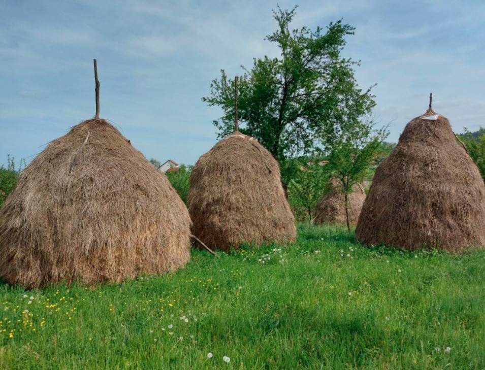 Cra Gora: Ubio ga grom dok je plastio sijeno