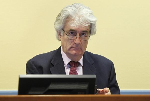 Crna Gora: Karadžić uklonjen s liste laureata nagrade „Risto Ratković"