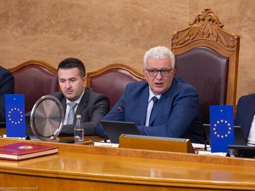 Crna Gora: Mandić isključio opoziciju iz rada parlamenta na 15 dana