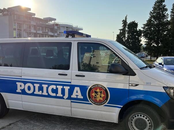 Crna Gora: Na granici sa BiH zaplijenjena roba vrijedna više od 30.000 eura