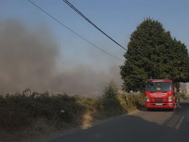 Crna Gora: Požari ne ugrožavaju živote i objekte, ali pričinjavaju štetu eko sistemu