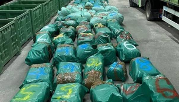 Crnogorska policija zaplijenila pola tone marihuane