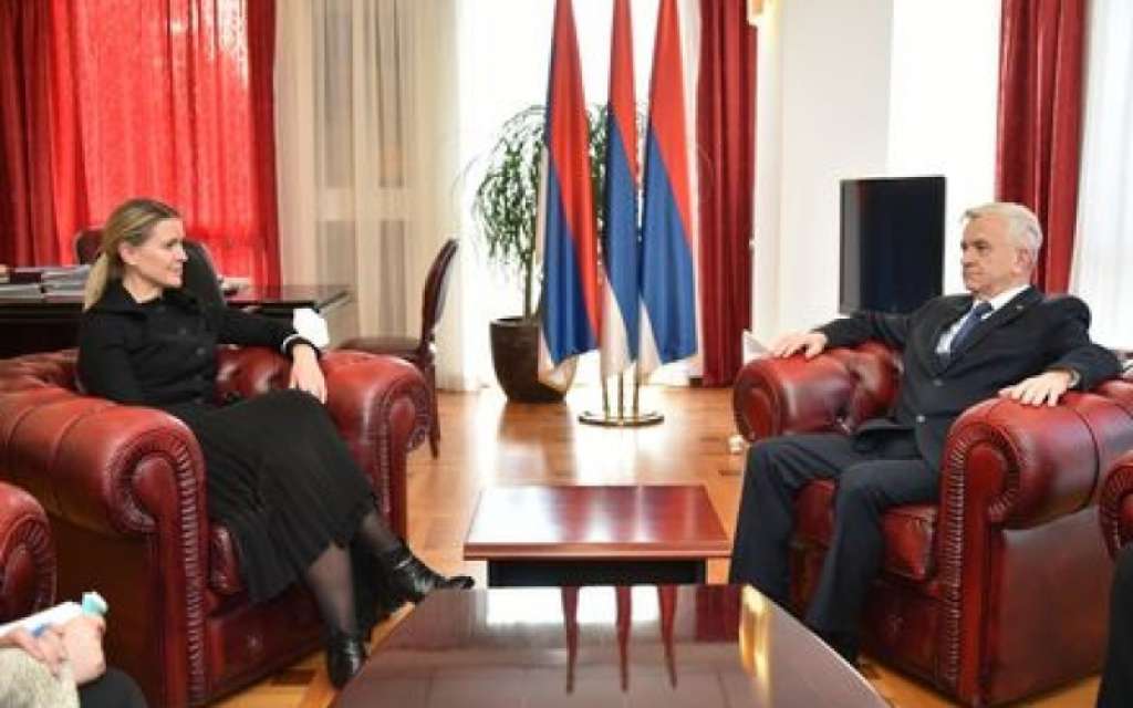 Čubrilović i Strömquist o mogućnostima napretka BiH na putu evropskih integracija