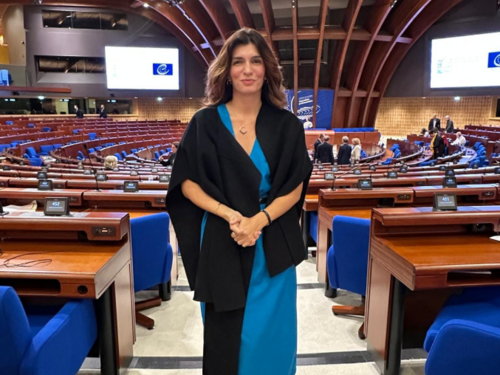 Ćudić izabrana za prvu dopredsjednicu Monitoring komiteta i dopredsjednicu liberala u Vijeću Evrope