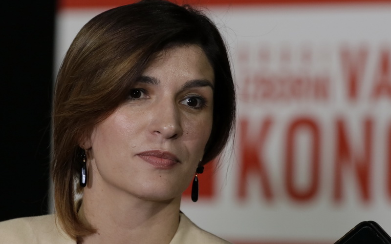 Ćudić: Ponudićemo najhrabrija ustavna rješenja