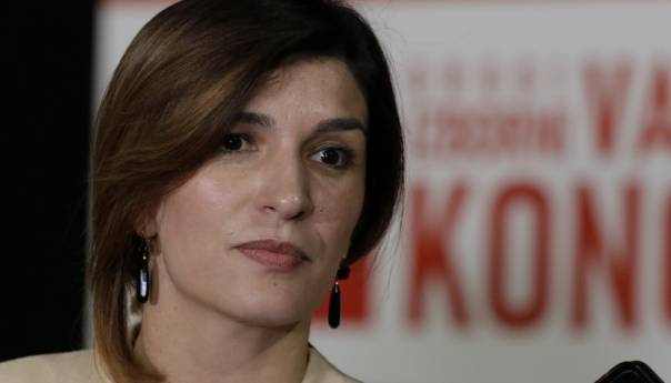 Ćudić: Ponudićemo najhrabrija ustavna rješenja
